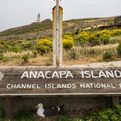 Anacapa Sign