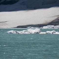 Iceberg in Upper Grinnell Lake