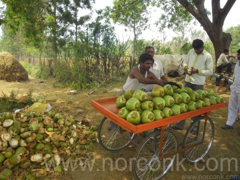 India Coconut Stand