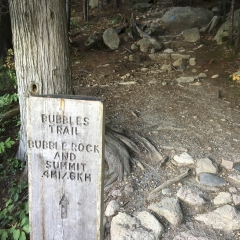 Bubbles Trail