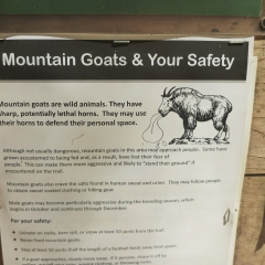 Goat Warning