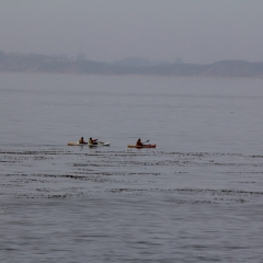 Monterey Kayakers