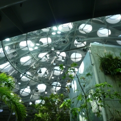 roof of the rainforest/terrarium