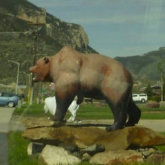 Big Bear Model