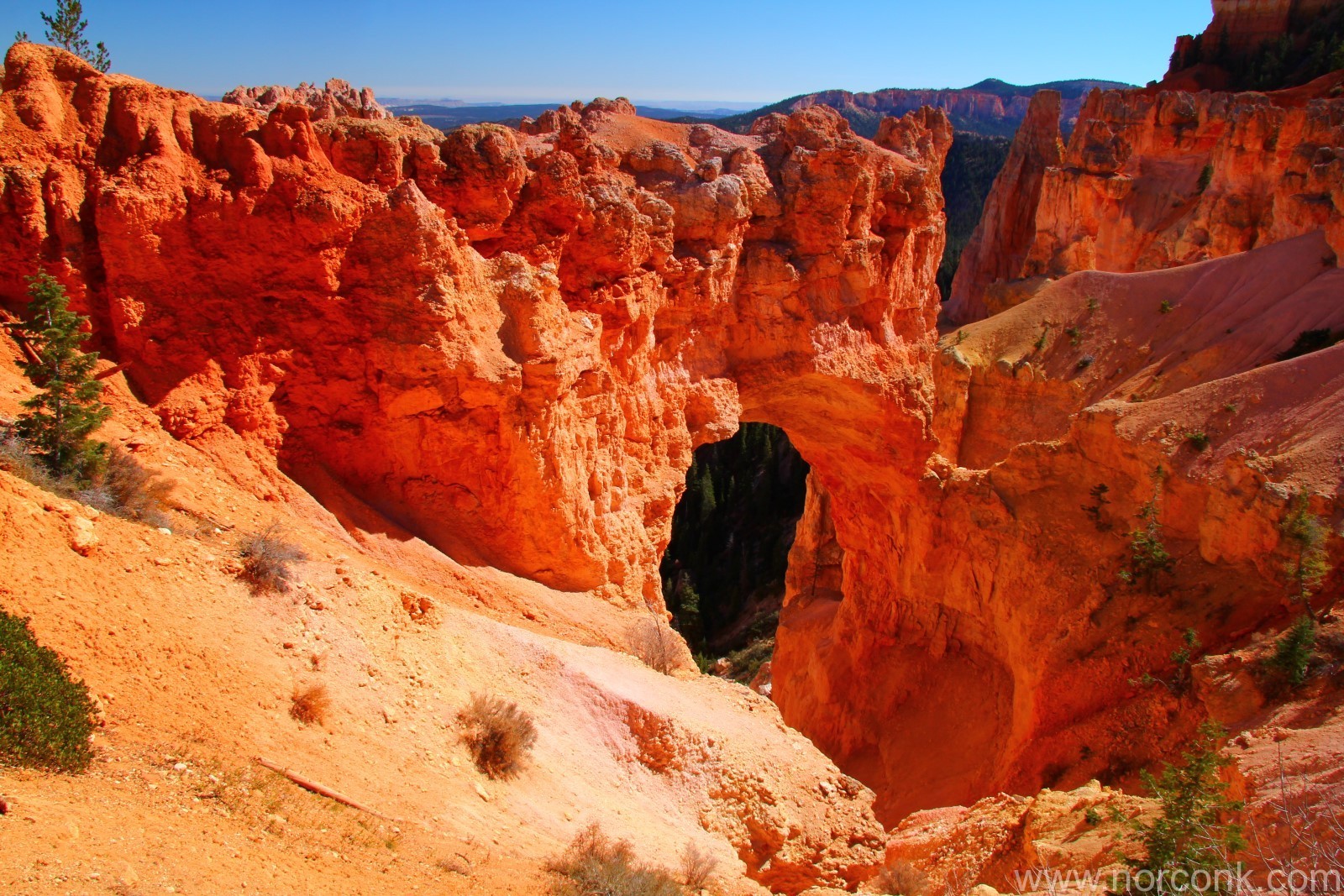 Bryce Canyon arch