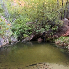 Lower Emerald Pool