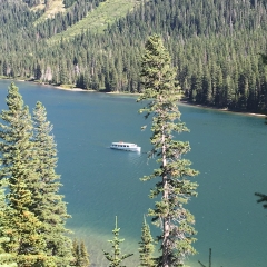 Ferry across Swiftcurrent Lake