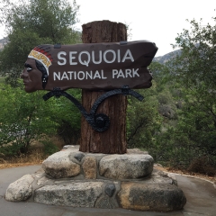 Sequoia National Park Entry
