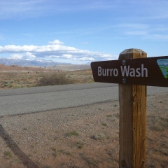 Burro Wash Trailhead