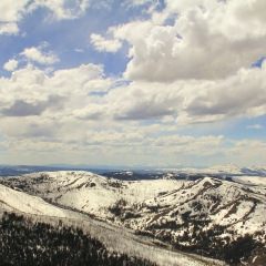 Mt. Washburn View