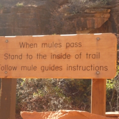 Grand Canyon Trail Notice
